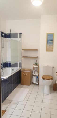 ein Bad mit einem WC, einer Dusche und einem Waschbecken in der Unterkunft Superbe appart.T2 face à la mer à Tréboul Douarnenez in Douarnenez