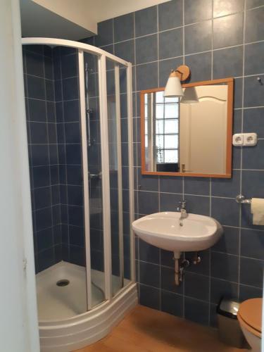 a bathroom with a shower and a sink and a mirror at Kossuth Apartman in Budapest