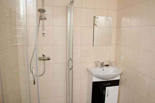 uma casa de banho com um chuveiro e um lavatório. em Ластівчине гніздо em Shayan