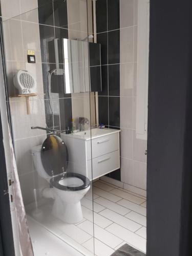 La salle de bains est pourvue de toilettes et d'un lavabo. dans l'établissement La Bourboule, à La Bourboule