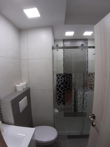 a bathroom with a toilet and a glass shower at Danube Blue 2 in Belgrade