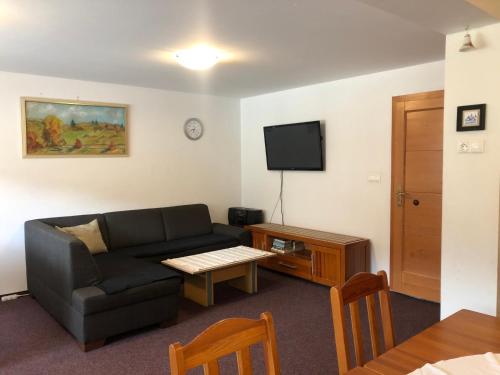 una sala de estar con un sofá y un televisor en Horalka, en Demänovská Dolina