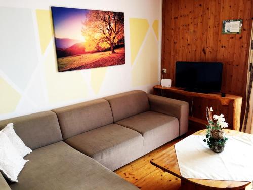 TV a/nebo společenská místnost v ubytování Ferienwohnung Kaltenleitner