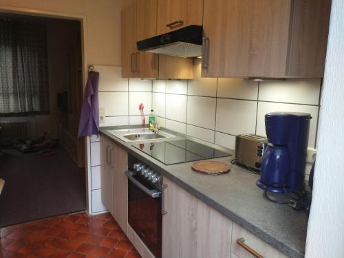 cocina con fregadero y encimera en Ferienwohnung Harms 2, en Hitzacker