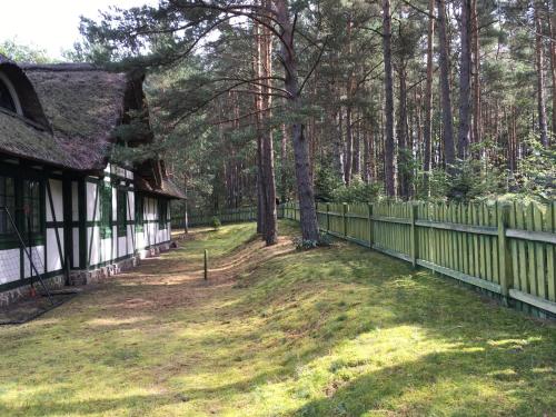 a yard with a fence and a house and trees at Czarcia Chata in Smołdziński Las