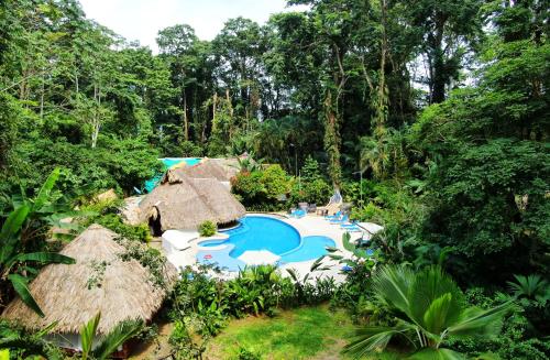 a resort with a swimming pool in the woods at Cariblue Beach and Jungle Resort in Puerto Viejo