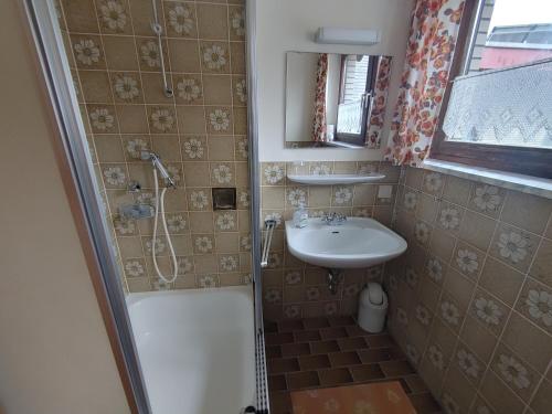mała łazienka z umywalką i prysznicem w obiekcie Appartement w mieście Dötzingen