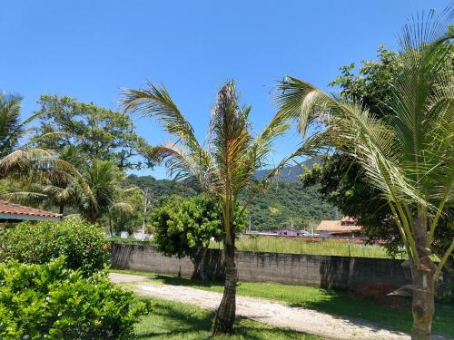 a couple of palm trees in a yard at Locação p final de semana Mourada Térrea in Caraguatatuba