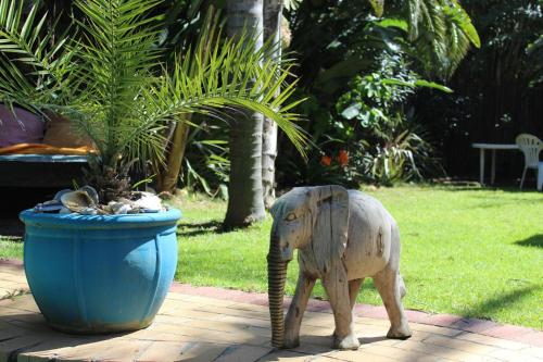 Animales en el hostal o pensión o alrededores