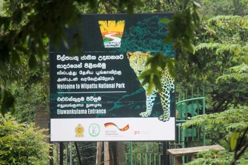 a sign with a leopard standing on top of it at Wilpattu Green Cabin in Achchamulai