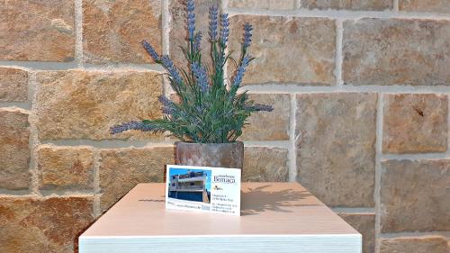 Stone House Bonaca - Romantic Sea View