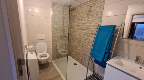 ein Badezimmer mit Toilette und Glasdusche in der Unterkunft Le Salmoyard, studio au bord du lac à Vielsalm in Vielsalm