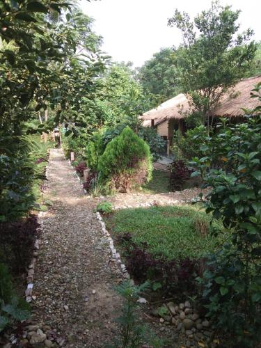 a path in a garden next to a house at Chital lodge in Chitwan
