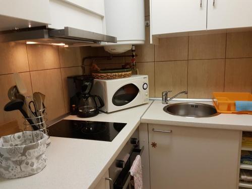 Kjøkken eller kjøkkenkrok på Apartamentos Grifovacances Nevada