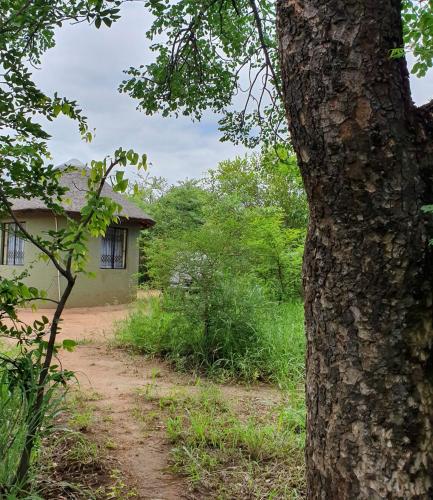 Κήπος έξω από το Rhumbini Lodge