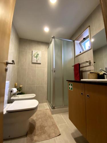 a bathroom with a shower and a toilet and a sink at Casa Vale da Cortinha - Near Gerês in Vieira do Minho