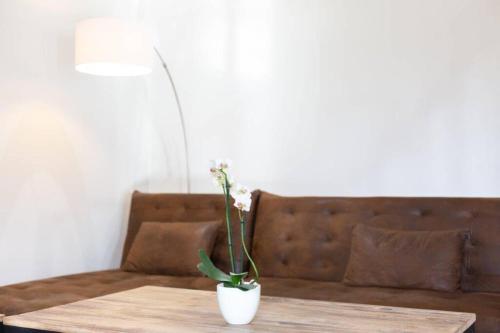 a table with a potted plant on top of a couch at Suite & Spa Maison de charmes avec Sauna & Hammam in Audrieu