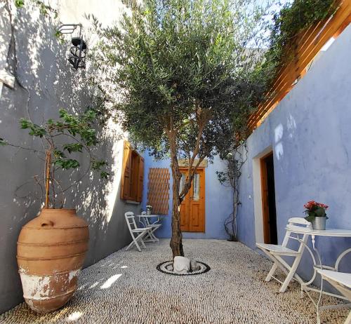 a tree in a large pot next to a building at St. George Studios in Rhodes Town