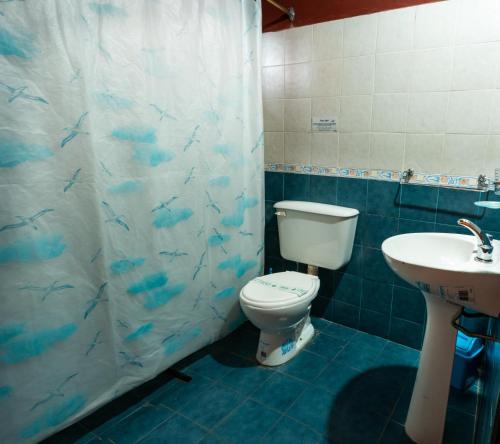a bathroom with a toilet and a sink and a shower curtain at Cabañas Abigail in Nono