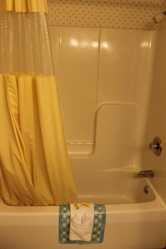 a bathroom with a tub and a shower curtain at Days Inn by Wyndham Grayling in Grayling