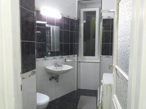 un piccolo bagno con lavandino e servizi igienici di Belvedere Skadarska Apartment a Belgrado