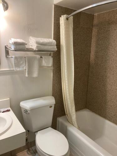 a bathroom with a toilet and a sink and a shower at Childress Inn in Childress