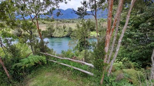 a river in the middle of a forest with trees at Cabañas Kuyén Austral in Hornopiren
