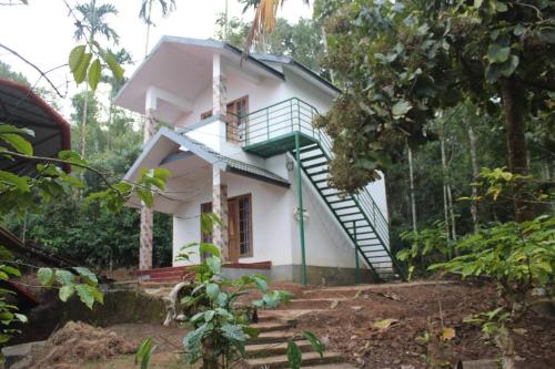 PanamaramにあるWayal Wayanad Honey moon villaの森の真ん中にある小さな家