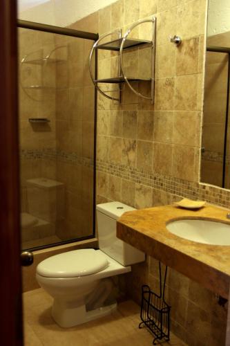 a bathroom with a toilet and a sink and a shower at El Molino Hotel y Restaurant in Lunahuaná