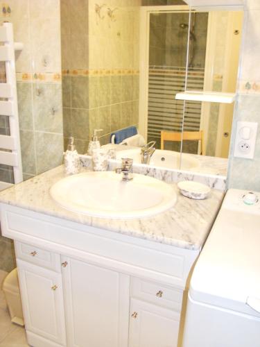 une salle de bain avec un lavabo et un miroir dans l'établissement Appartement cosy à Fayet avec vue, à Fayet