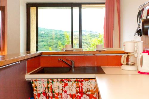 a kitchen with a sink and a window at Appartement charmant avec piscine à Porticcio - 32 m² in Porticcio
