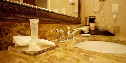 a bathroom counter with a sink and a mirror at Hotel Executive Suites in Carteret