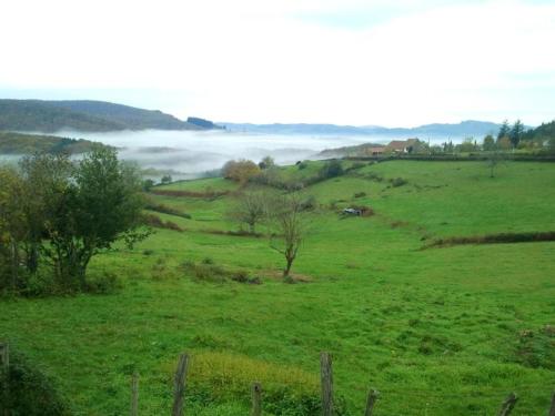 a green field with a fog in the distance at Maison charmante à La Vineuse avec jardin clôturé in La Vineuse