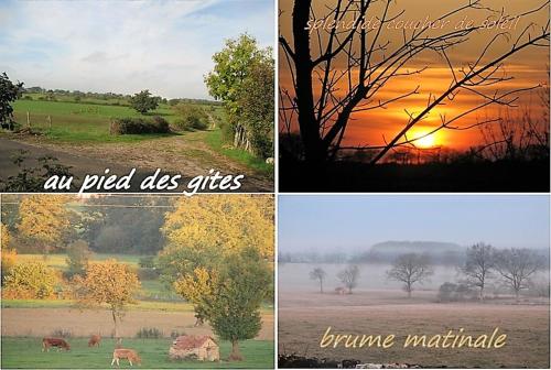 four different pictures of a field with trees and animals at Appartement charmant à Villeneuve avec jardin in Villeneuve-dʼAveyron