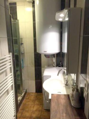 une salle de bain avec un lavabo et un miroir dans l'établissement Appartement confortable à Roanne avec jardin et parking, à Roanne