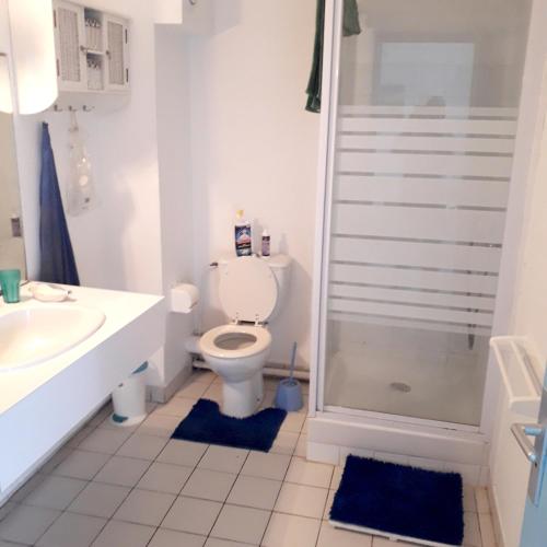 a bathroom with a toilet and a sink and a shower at Appartement de 2 chambres avec vue sur la mer et jardin clos a Le Moule a 1 km de la plage in Le Moule
