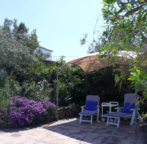 dos sillas y una sombrilla en un jardín en 3 bedrooms house with private pool enclosed garden and wifi at Los Romanes, en Benamargosa