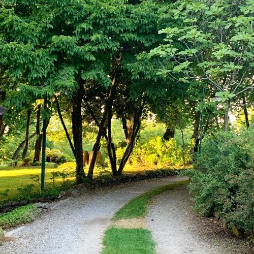 a dirt road in a park with trees and grass at Cozy Chalet in Castell'Arquato 90 m² with Private Pool in CastellʼArquato