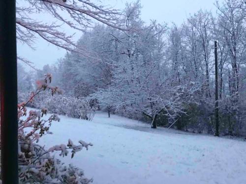 a snow covered yard with trees and bushes at Cozy Chalet in Castell'Arquato 90 m² with Private Pool in CastellʼArquato