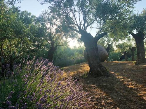 an elephant standing next to a tree in a field at Cozy Chalet in Castell'Arquato 90 m² with Private Pool in CastellʼArquato