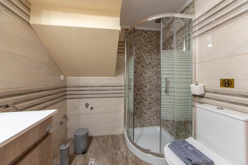 a bathroom with a shower and a toilet and a sink at Amaryllis Maison Hili in Alexandroupoli
