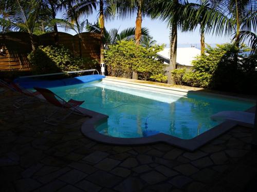 einen Pool in einem Garten mit Palmen in der Unterkunft Villa charmante à Le Tampon + Piscine in Le Tampon