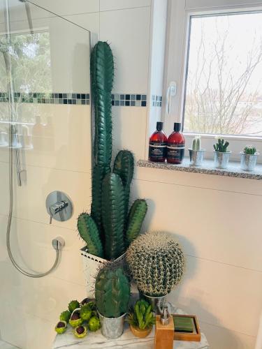 a bathroom with cactuses and plants on a counter at Limes Apartment -übernachten am Limes- in Rainau