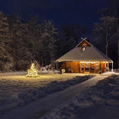 a christmas tree in front of a cabin at night at UpeNes in Lubāna