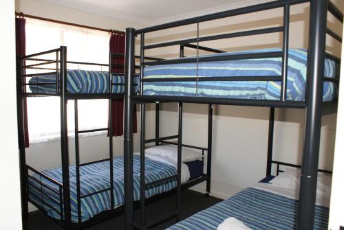 a bunk bed room with two bunk beds at Warrnambool Motel and Holiday Park in Warrnambool