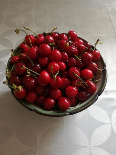 ホテルの敷地内または近くでの食事または食べ物