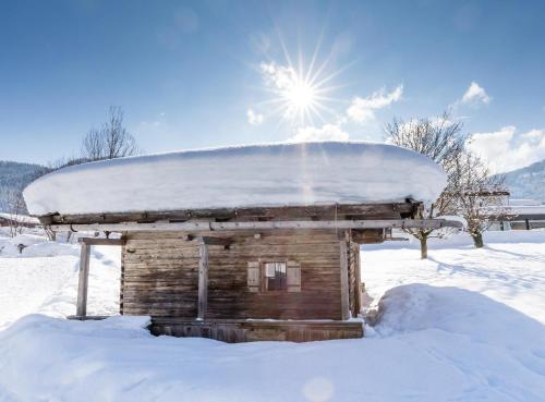 a log cabin with snow on top of it at Haus Salina in Ellmau