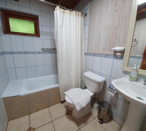 a bathroom with a toilet and a shower and a sink at Hola Pucon in Pucón