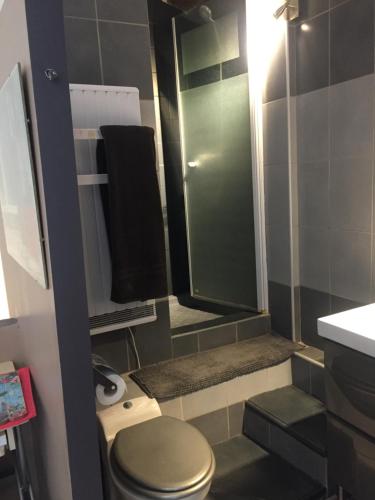 a small bathroom with a toilet and a shower at El Sitio de Francisco in Oraison
