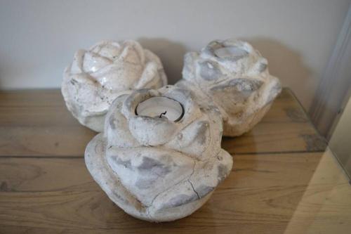 een groep rotsen op een houten tafel bij Nieuwbouwappartement met zeezicht in Koksijde bad in Koksijde